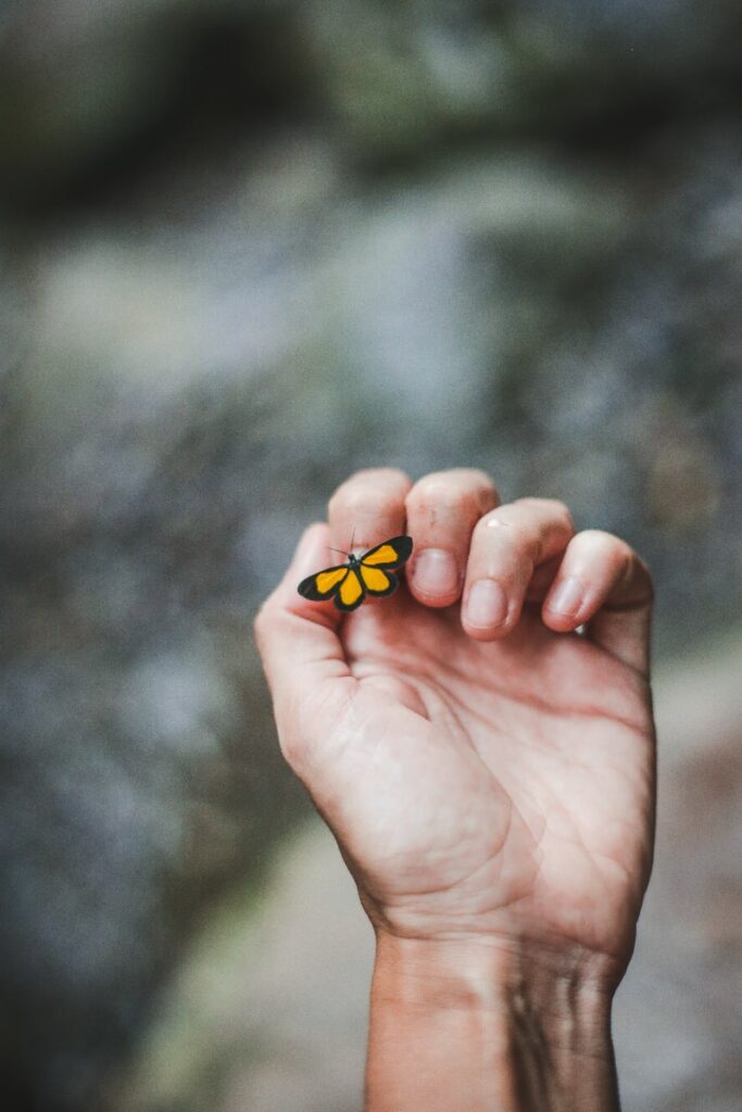 a hand with a butterfly representing a passed love one