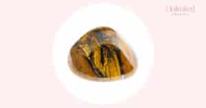 tiger's eye meaning featured image